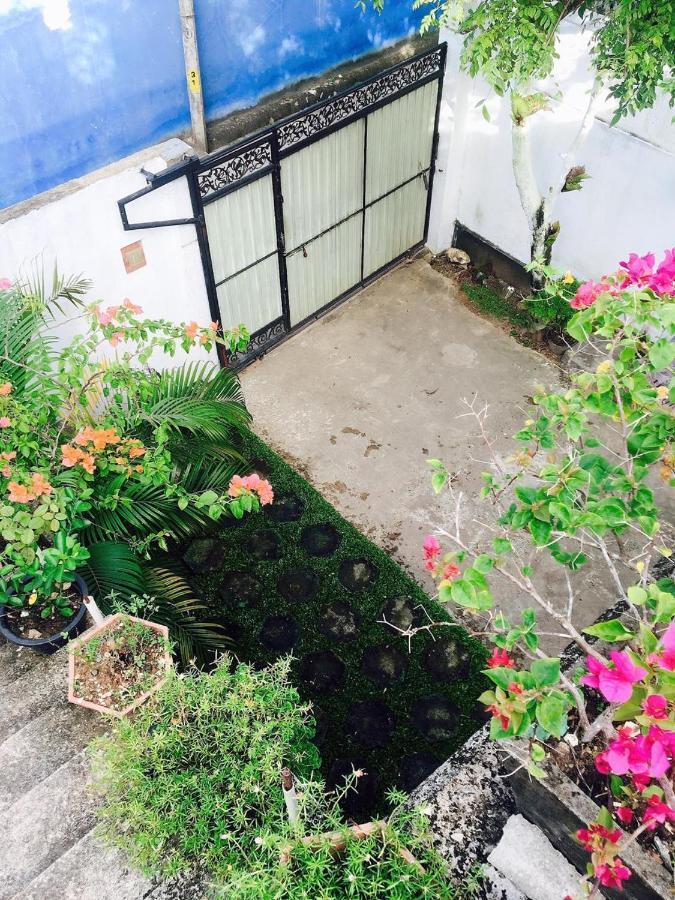 City Bay House 웰리가마 외부 사진